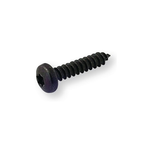 Parker cilinderkop Torx  3,9X13 zwart